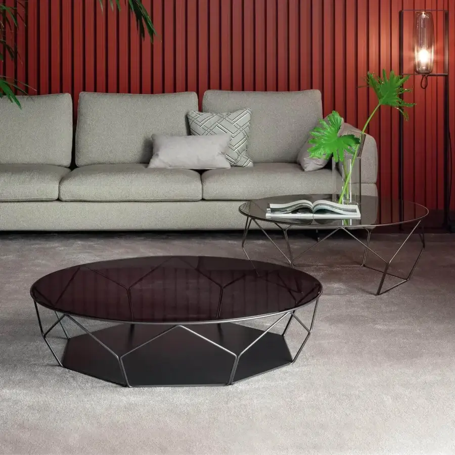 Elegant Bonaldo Arbor coffee table with dark metal base and sleek glass top crafted in a dark gray finish