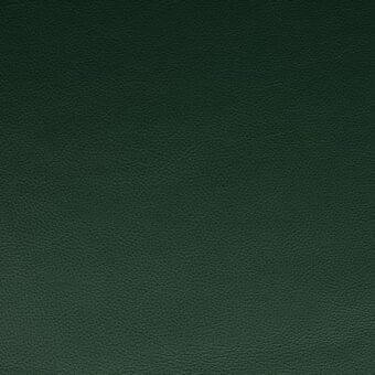 Mariani PF 5015 LR full-grain leather texture in deep green, displaying a dense pebbled surface with natural grain and matte finish.