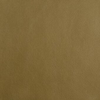 Mariani leather texture, golden-brown, fine grain pattern, matte finish, uniform weave, durable material for upholstery applications.