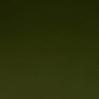 Full-grain saddle leather in dark olive-green with a matte finish and subtle gradient, labeled “mariani > saddle leather > cf 214”.