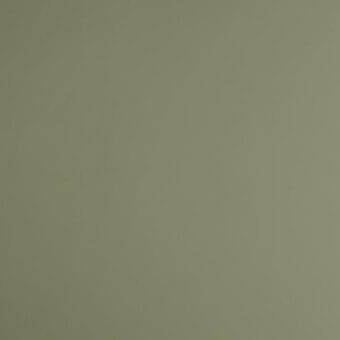 Olive-green matte texture fills the frame, displaying a consistent, solid color with no patterns or gradients, functioning as a background element.