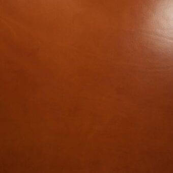Saddle leather texture, warm brown, vegetable tanned; smooth matte finish with natural grain and slight sheen, conveying durability.