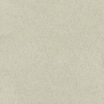 Pale grey fabric texture, close-up view of a uniform woven material, displaying subtle tonal variations and a granular surface, with text identification.