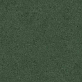 Green fabric texture displaying a dense, granular weave with subtle tonal variations and a uniform, mottled surface appearance.