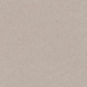 Beige speckled texture, granular surface with irregular particles, consistent mottled effect, neutral tone, no visible pattern or branding.