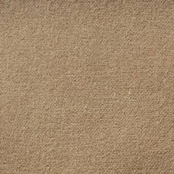 Granular beige texture displaying a consistent, matte surface composed of fine particles, evenly distributed with subtle surface variation.