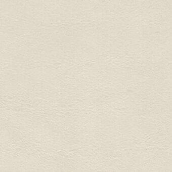 Off-white textured surface with granular, uneven quality and matte finish, displaying subtle tonal variations under diffused, shadowless lighting.