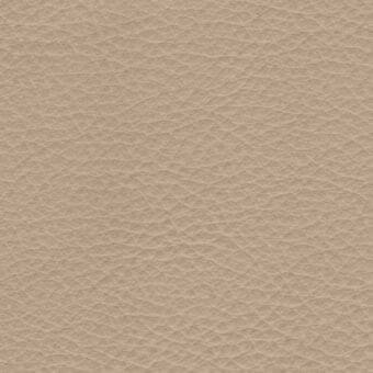 Light beige leather texture with a dense, irregular grain and matte finish, presenting a uniform, subtly organic pattern throughout the composition.