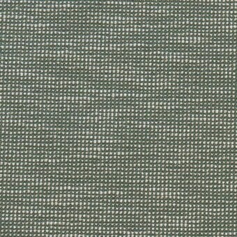 CC257 SLO 19106 FERN
