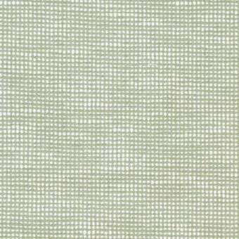 CC258 SLO 19107 SPIREA
