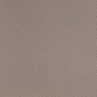 Leather texture sample, light taupe color, consistent mottled surface with fine granular pattern and subtle tonal variations, catalog identification text.