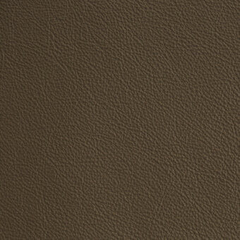 Olive green leather texture sample with fine grain, subtle tonal variations, and a matte, smooth surface; bellavista p1.44 category.
