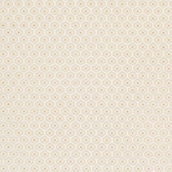 CR4-C-009