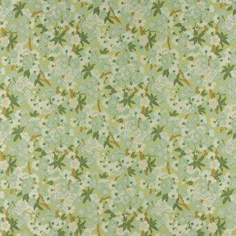 CR2-L-033