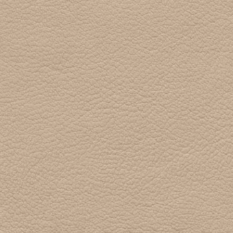 Eco leather texture, light beige, granular matte surface, consistent neutral tone, suitable for upholstery applications.