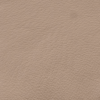 Light beige eco-leather texture with a subtly pebbled grain and consistent tone, displaying a smooth, uniform surface in even lighting.
