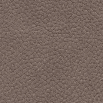 Eco leather texture, muted taupe, dense bumpy surface with tonal variations, matte finish, consistent repeating pattern for upholstery applications.