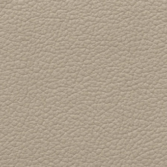Light beige eco-leather texture with a granular, pebbled surface and subtle sheen, displaying a dense, consistent, and neutral pattern.
