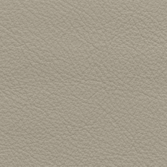 Light beige leather texture with fine wrinkles, a smooth matte finish, and consistent natural grain for upholstery or background applications.