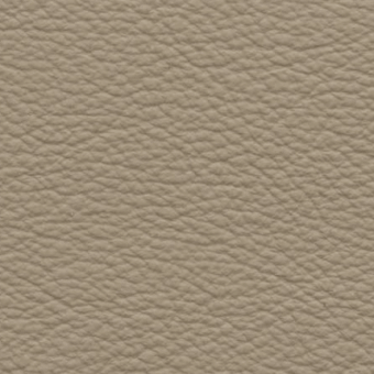 Light beige leather texture with a granular, pebble-like pattern and matte finish, suggesting durability and natural grain for upholstery applications.