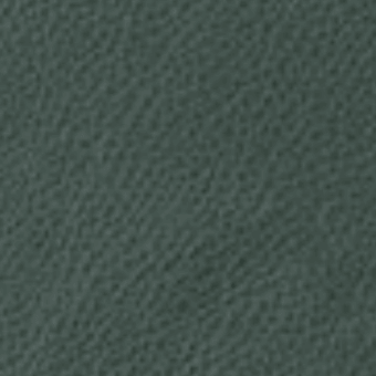 Dark teal granular texture with mottled tone variations, resembling distressed leather or synthetic material, presented in even lighting.