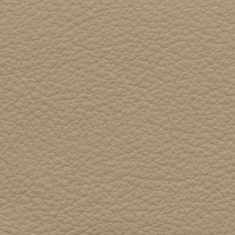 Beige leather texture with granular surface, irregular bumps, and subtle mottling; consistent, repeatable pattern for material simulation.