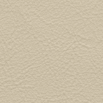 Cream leather texture with dense wrinkles, matte finish, and natural grain pattern for backgrounds or surface designs.