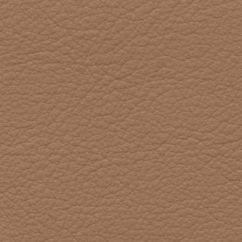Brown leather texture with a dense, pebbled surface and mottled appearance, displaying warm tonal variations suitable for cushion upholstery.