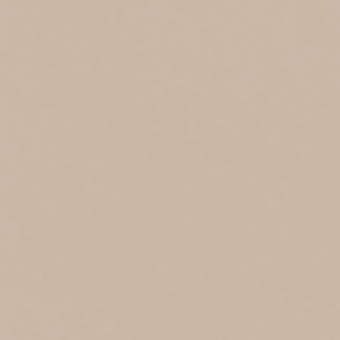 Neutral beige background with a smooth, matte texture and subtle tonal gradient from light to dark, presenting a uniform, simple composition.