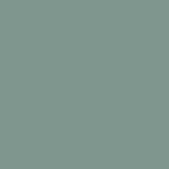 Soft gray-green monochromatic composition, uniform matte color, simple background swatch with no texture or gradients, desaturated hue.
