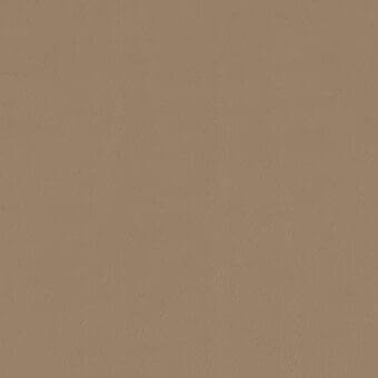 Brown leather texture sample displaying a mottled surface and matte finish, with a medium taupe tone and diffused, even lighting.