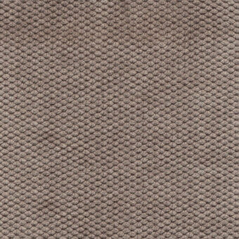 Velvet fabric sample, taupe color, repeating raised circular pattern in a grid, soft sheen, Bolzan Lettti "fabric (c) 600" texture.