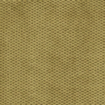 Olive-green velvet fabric sample displays a dense grid of raised circular textures, exhibiting a plush, three-dimensional surface; Bolzan Leti "800."