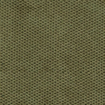 Bolzan Lettti velvet texture, olive green, dense nubby knots in a regular grid, short pile, durable upholstery fabric, sample 801.