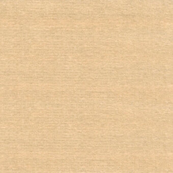 Beige woven fabric texture with fine vertical ribbing and a matte finish, displaying a consistent warm tone and granular surface detail.