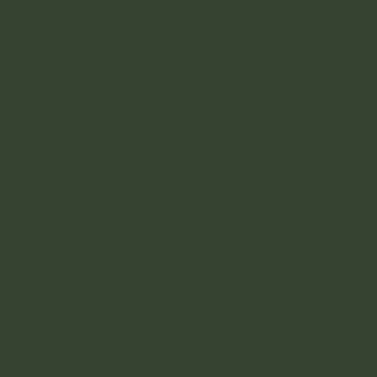 Dark olive green RAL 6020 matte color field, uniform background texture, metal finish swatch for Bolzan Letto, solid tone composition.
