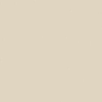 Neutral beige solid color background with subtle gradient, lighter center to darker edges, smooth uniform surface, simple composition.