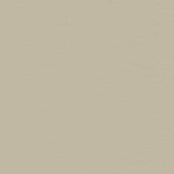 Leather swatch, muted beige, finely grained texture with subtle tonal variations and a matte finish, displaying a natural, smooth surface.