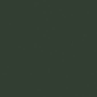 Dark green monochromatic color field, smooth matte surface, consistent tone, simple composition, no texture or gradients, solid color swatch.