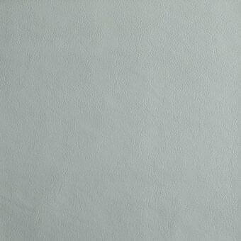 Procida leather texture D09, light gray, subtly pebbled grain, matte finish, soft and pliable appearance, even diffused lighting.