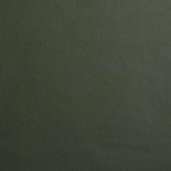 Dark olive-green Bonaldo Procida leather texture, D24 collection, exhibiting a subtly pebbled, matte finish and consistent natural grain.