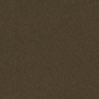 Bronze metal texture with a granular, brushed finish displaying muted warm tones and a consistent, matte surface pattern.
