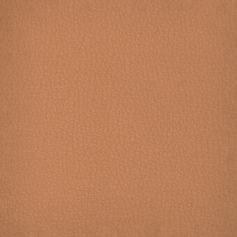 Eco leather texture sample, biscuit color, fine grained surface with matte finish and uniform color distribution for upholstery applications.