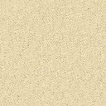 Beige vegan nabuk texture with a fine weave and matte finish, displaying a warm neutral tone and consistent diffused lighting.