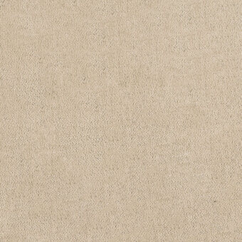 Eco leather texture sample in light beige, featuring a short dense pile and matte finish, possibly vegan nabuk material.