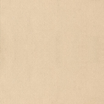 Vanilla fabric swatch displaying a dense woven grain and matte texture, presenting a uniform surface with no visible patterns or design motifs.