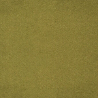 Pistachio green fabric swatch displaying a dense, granular texture with a slightly rough woven finish and consistent, uniform surface.
