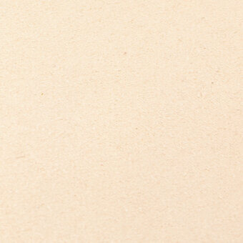 Pale beige granular texture fills the frame, displaying subtle tonal variations and an even, diffused lighting with no distinct pattern.