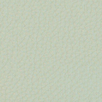 Pale green textured surface with branching line pattern, resembling organic veins or leaves, displaying subtle tonal variations and matte finish.