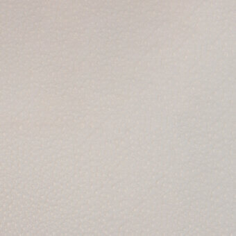 Nappa leather texture, light beige color, subtly pebbled grain with matte finish and uniform tone, designated “pr08 – ice”.